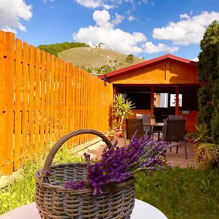 Guesthouse Mikulas Mikulov - Free Parking In The City Center Exterior photo