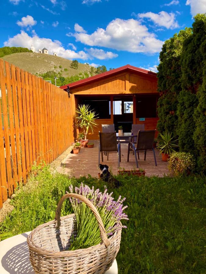 Guesthouse Mikulas Mikulov - Free Parking In The City Center Exterior photo
